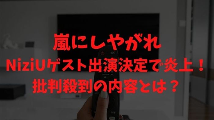 嵐にしやがれniziuゲスト出演決定で炎上 批判殺到の内容とは Joh Life Blog