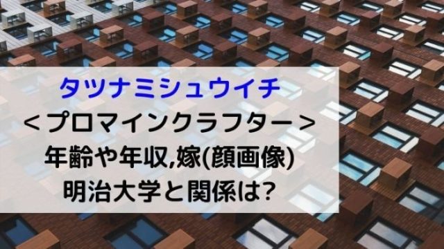 タツナミシュウイチ マイクラ 年齢や年収 嫁顔画像や明治大学と関係は Joh Life Blog