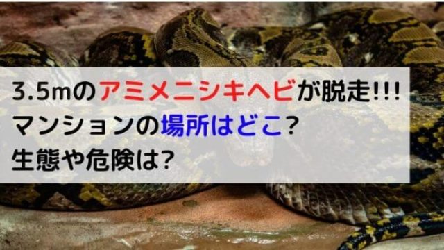 3 5mアミメニシキヘビ脱走したアパートの場所はどこ 生態や危険は 横浜市戸塚区 Joh Life Blog