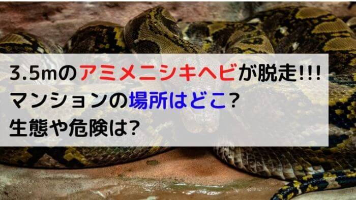3 5mアミメニシキヘビ脱走したアパートの場所はどこ 生態や危険は 横浜市戸塚区 Joh Life Blog