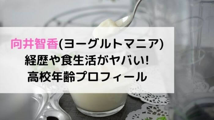 向井智香 ヨーグルトマニア 経歴や食生活がヤバい 高校年齢プロフ マツコの知らない世界 Joh Life Blog