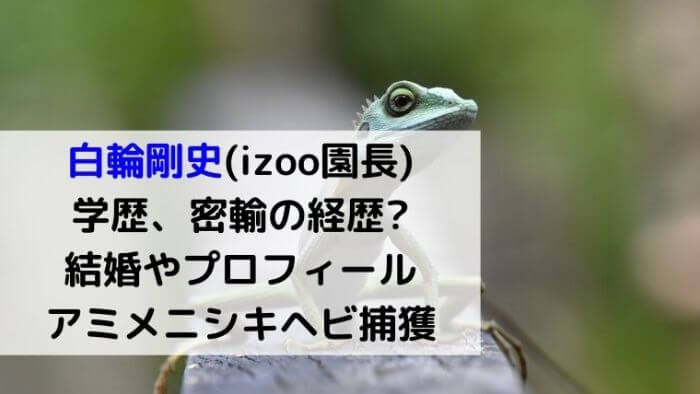 白輪剛史 Izoo園長 アミメニシキヘビ捕獲 学歴 大学や密輸の経歴 結婚やプロフィール 激レアさん Joh Life Blog