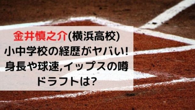 金井慎之介 横浜高校 小中学校の経歴がヤバい 身長や球速 イップスの噂とドラフトは Joh Life Blog