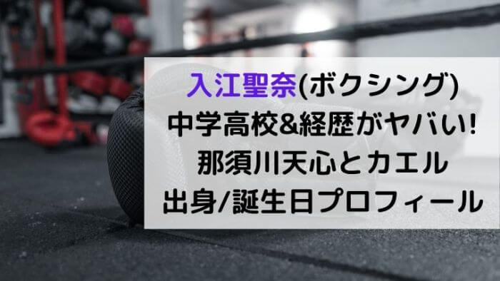 入江聖奈(ボクシング)中学高校がヤバい!那須川天心とカエル ...